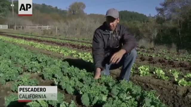 Watch Virtual Farmers Market: Front Door Delivery Video