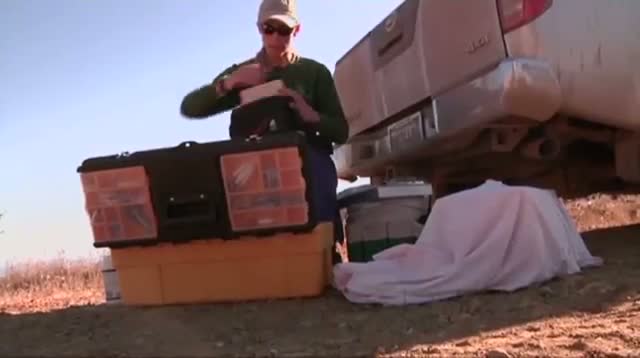Watch Biologists Care for Island Foxes Off Ca. Coast Video