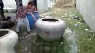 Watch Guess What's In The Pot Video