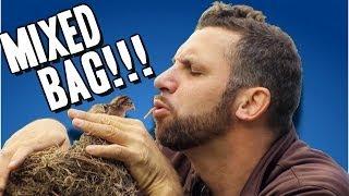 Watch Surprise Bag - Best of Just for Laughs Gags Video