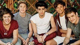 Watch One Direction Angry Moments, Fan Interactions and Paparazzi Brawl - 2013 Rewind Video