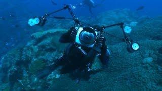 Watch National Geographic's 2013 Year in Review Video