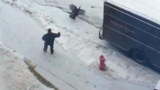 Watch Wild Turkey Chases Delivery Guy Around Truck Video