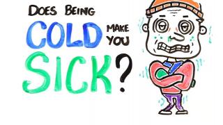 Watch Does Being Cold Make You Sick? Video