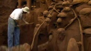 Watch Concrete Poured Into Ant Colony Reveals Massive Insect City Video