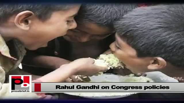 Watch Rahul Gandhi: We have given Food Security Bill to counter hunger Video