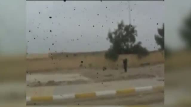 Watch Fighting in Iraq's Anbar Province Video