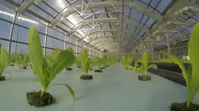 Watch Farm to Table Hospital Food Video