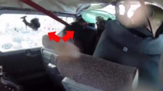 Watch Goose Crashes Through Airplane's Windshield Video