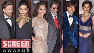 Watch Life Ok Screen Awards Live & EXCLUSIVE 25th January 2014 Video