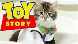 Watch Disney Pixar's Toy Story (Cute Kitten Version) Video