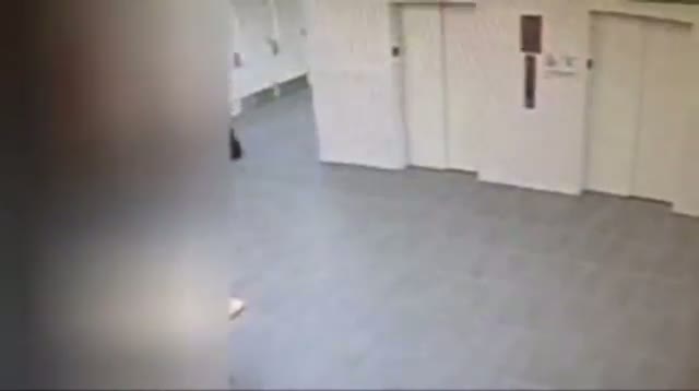 Watch Police Say DNA Shows Remains Are Autistic Teen's Video