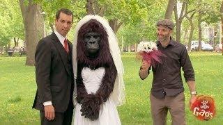 Watch Bridezilla? No, just Gorilla Bride - Just for Laughs Gags Video