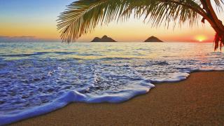 Watch Hawaii - North Shore Video