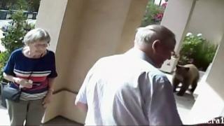 Watch Elderly Couple Don't Notice Bear As They Leave Their House Video