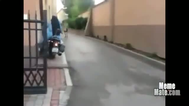 Watch Amazing and Most Funny Clips Video