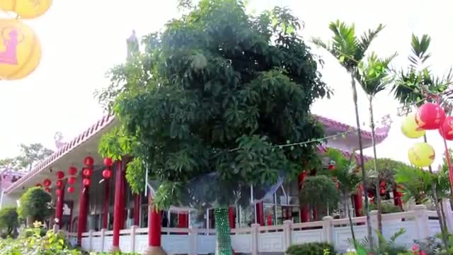 Watch 2014 Chinese New Year Eve Celebration Video Video