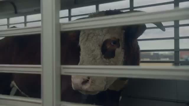 Watch 2014 Chevy Super Bowl Commercial: "Romance" Video