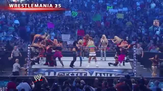 Watch The Bella Twins and Natalya talk about what they're excited to see on WWE Network: February 7, 2014 Video