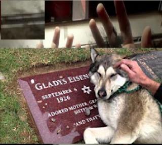 Watch The Saddest 10 Seconds Video Ever Video
