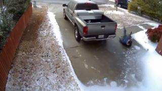 Watch Georgia Ice Claims Another Victim Video