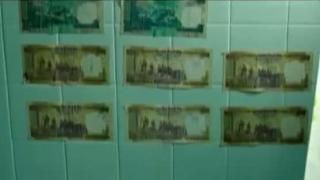 Watch Maasiji - What The Fish (Full Video Song) - Dimple Kapadia & Manjot Singh Video