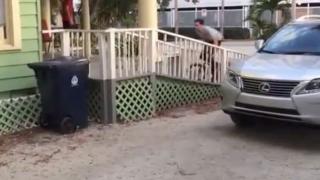 Watch This Bike "Ramp" Seems Like A Bad Idea Video