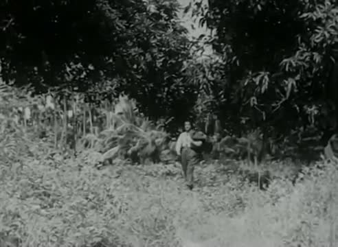 Watch Ondru serndha Anbu - Sivaji Ganesan, Bhanumathi - Makkalai Petra Magarasi - Tamil Classic Song Video