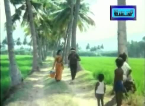 Watch Uchani Kombu Song - Pavunu Pavunuthan - K Bhagyaraj, Rohini (Tamil) Video