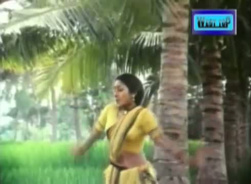 Watch Thethi Onnu Song - Pavunu Pavunuthan - K Bhagyaraj, Rohini (Tamil) Video
