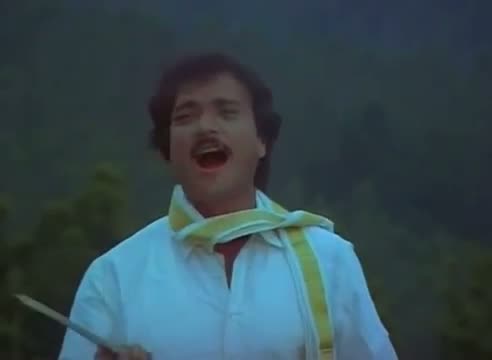 Watch Nadam Ezhundadhadi - Karthik, Banupriya - Gopuravasalile - Tamil Classic Song Video
