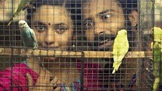 Watch Cuckoo Theatrical Trailer - Attakathi Dinesh , Malavika Nair, Raju Murugan - Tamil Film 2014 Video