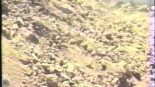Watch Godzilla VS Rodan and the Japanese Army Video