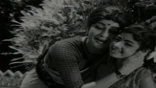 Watch Nenu Manishine Movie Songs - Chinnari Varahala Feat. Kanchana And Baby Sridevi  - Telugu Cinema Movies Video