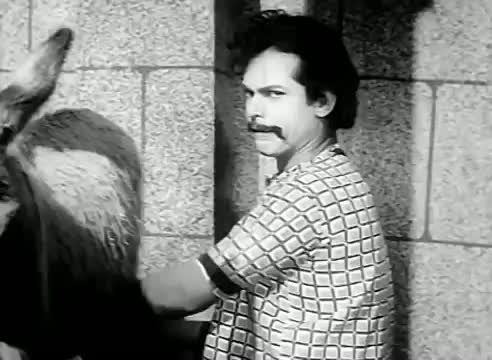 Watch Palakam Illadha Kazhudai - Mainavathi, S.A Nagarajan, K.A Thangavelu - Tamil Classic Song Video