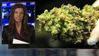 Watch New Marijuana Study Confirms Everyone Knows You're High And You Will Be Stoned Forever Video