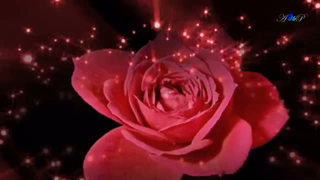 Watch Happy Women's Day - Romantic Saxophone Video