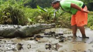 Watch Feeding A Crocodile Like A Dog Video