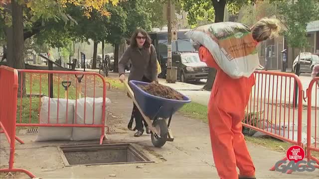Watch Clumsy Wheelbarrow Accident Video