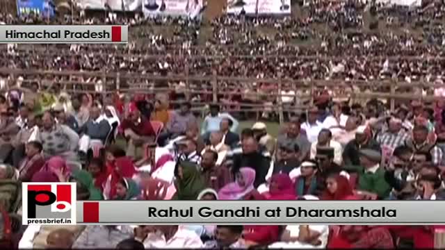 Watch Rahul Gandhi: I should be thankful to our Ex-servicemen for their service Video