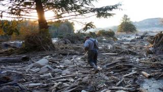 Watch 14 dead, 176 missing in Washington landslide (Latest News) Video