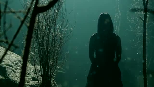 Watch Shinedown - Through The Ghost [Official] - Hollywood Video Video