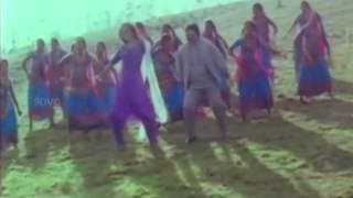 Watch Pattamboochi - Prabhu, Suvalakshmi, Priya Raman - Ponmanam - Tamil Romantic Song (Tamil Video) Video