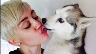 Watch MILEY CYRUS' Dog Floyd Passes Away Video