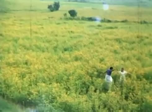 Watch Unna Paartha - Sathyaraj, Seetha, Shobana - Mallu Vetti Minor - Tamil Classic Song Video