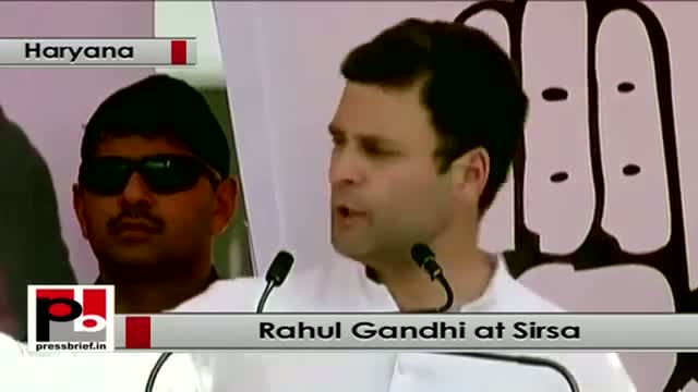 Watch Rahul Gandhi : NDA talks about Gujarat model but we don't need it for Haryana Video