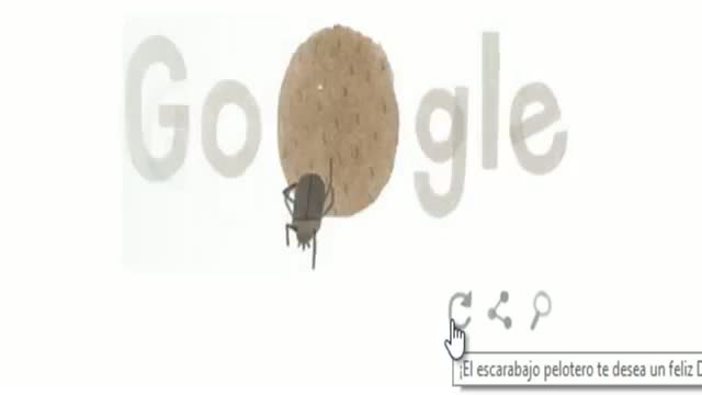Watch Rufous Hummingbird: Google creates Doodle to celebrate Earth Day 2014 Video
