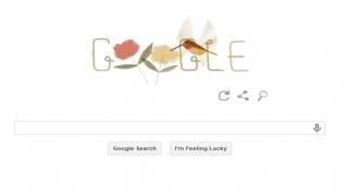 Watch Google doodle marks Earth Day 2014 with Rufous Hummingbird Video