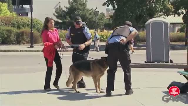 Watch Just for Laughs Gags - Rabid Dog Mauls Cop's Crotch Video