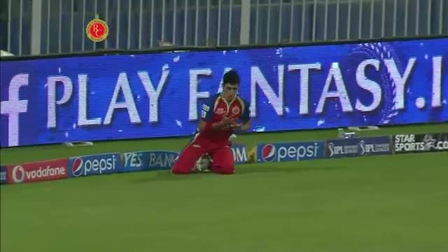 Watch RCB vs KKR - Match 11 - Mitchell Starc takes a good catch, but steps on the boundary line - PEPSI IPL 2014 (24 April 2014) Video